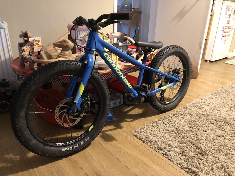 2018 Cannondale Cujo 20+ For Sale