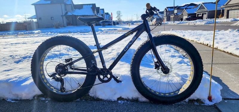 Opus stan 2025 fat bike