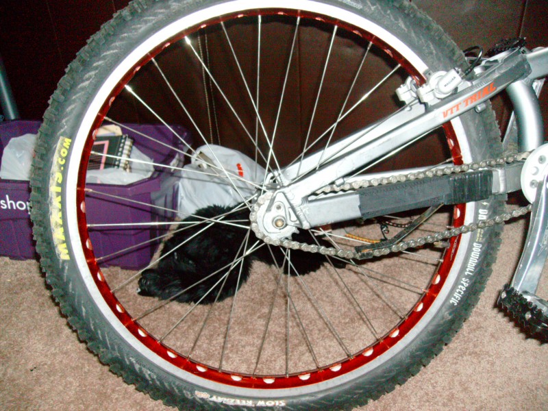 rear wheel with weird chain stay