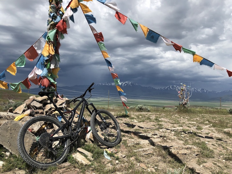 2019 stumpjumper comp carbon 29