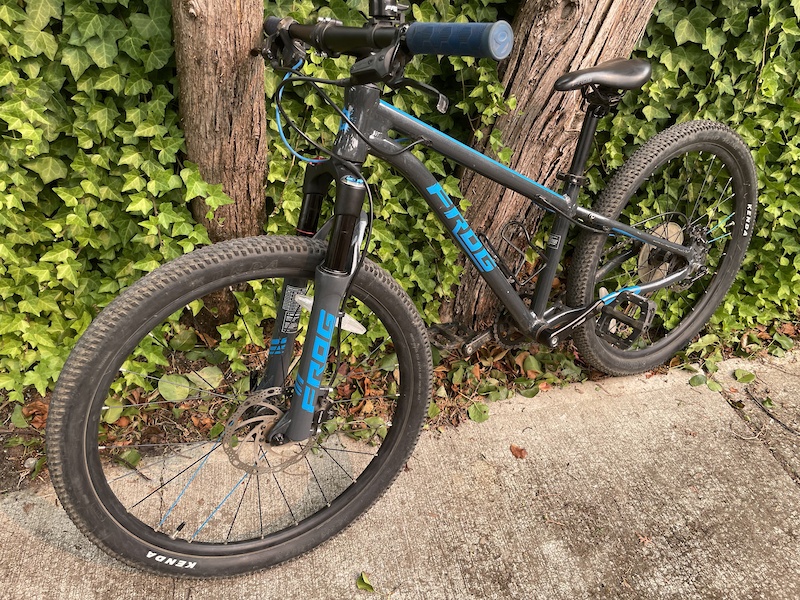 frog bike stem riser