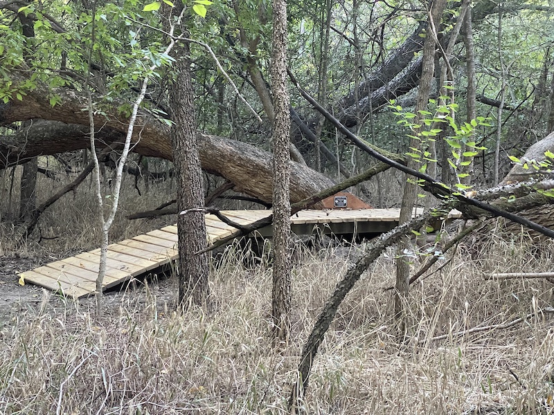 Gray Branch Park, McKinney Mountain Biking Trails | Trailforks