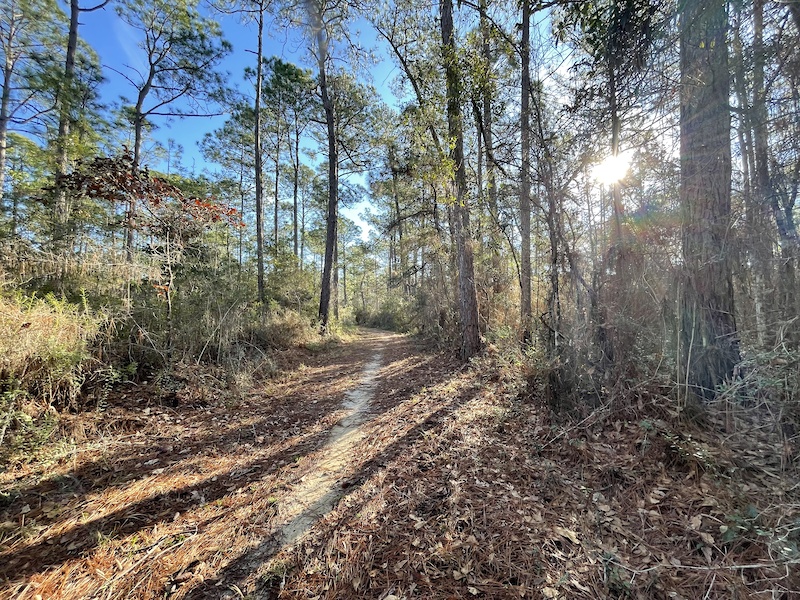 Zulu Trail Multi Trail Gautier, Mississippi