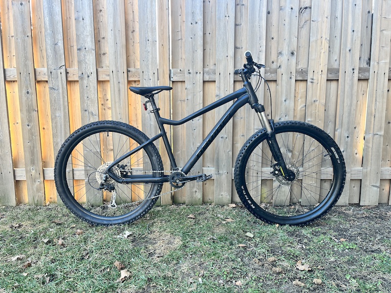 Devinci Blackbird For Sale