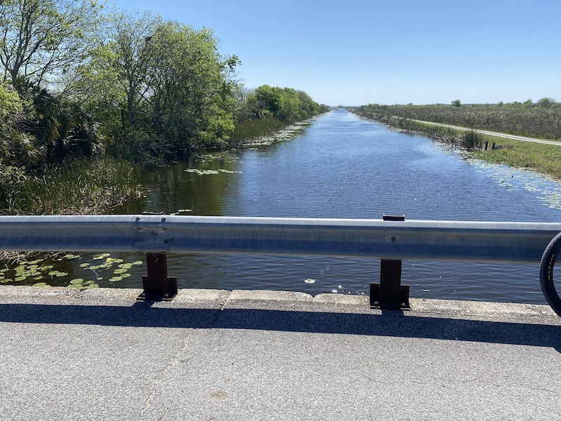 Lake Apopka North Shore, Apopka Mountain Biking Trails | Trailforks