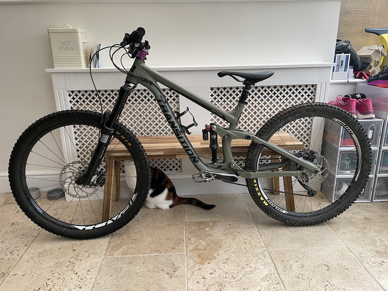 2019 (Pending sale) Medium Transition Patrol Sagebrush Grey For Sale