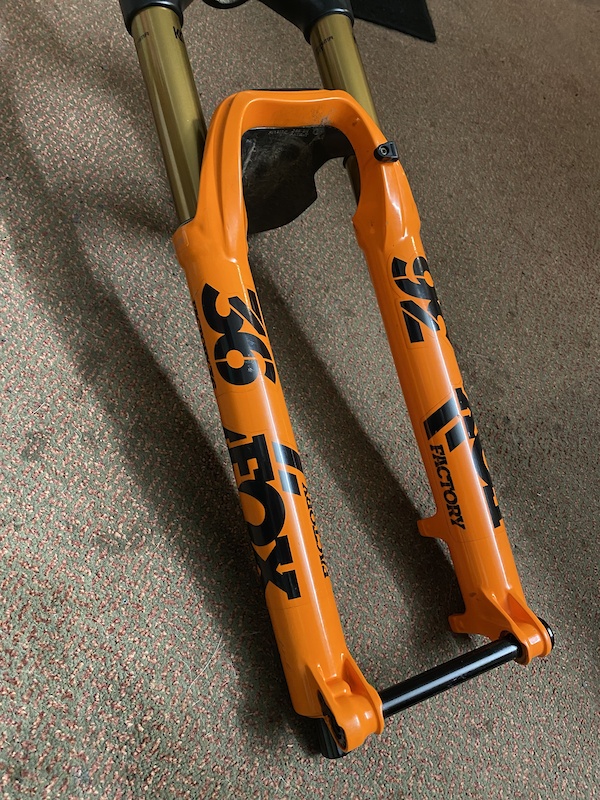 orange 29er