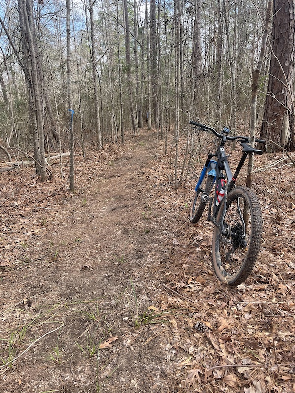The Accelerator Mountain Biking Trail - Hattiesburg