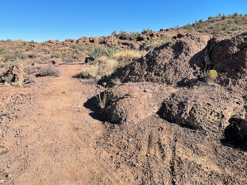 Cactus Loop ALTERNATE LINE Mountain Biking Trail Kingman