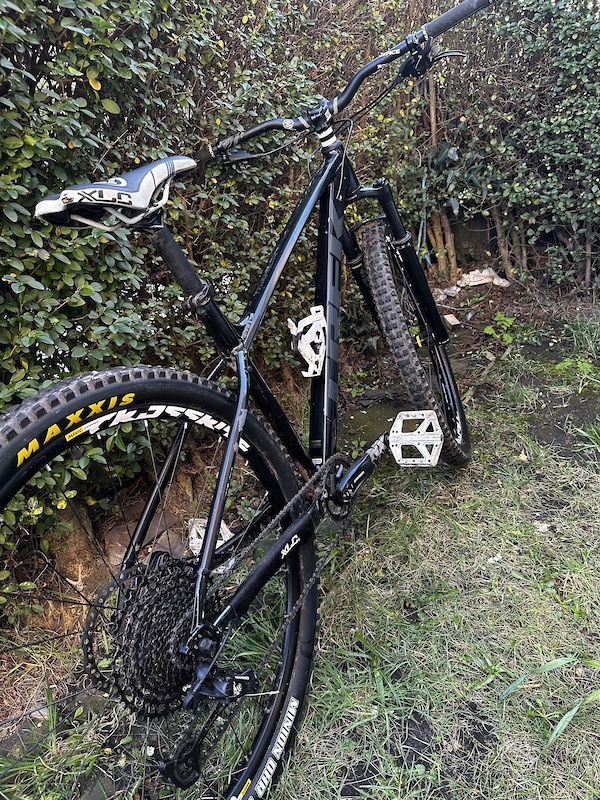 best budget hardtail 2021