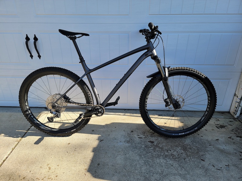 santa cruz bike v10