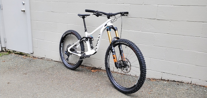 Knolly chilcotin 151