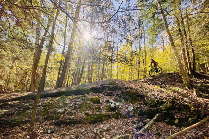 A Clear Path Forward For The Vermont Mountain Bike Association – Pinkbike