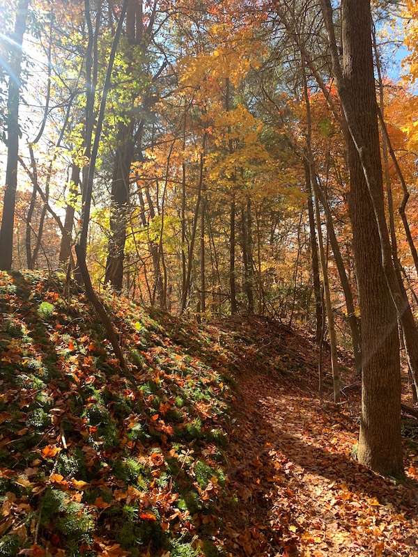 Durham Mine Trails Mountain Biking Trails Trailforks