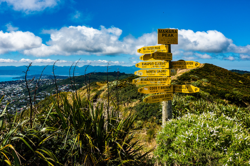 Makara peak walk sale