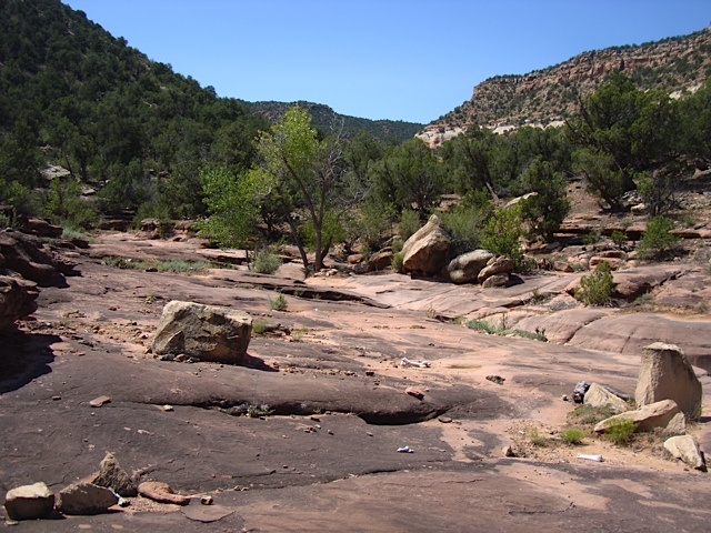 Martin Mesa Canyon bottom at the road crossing.