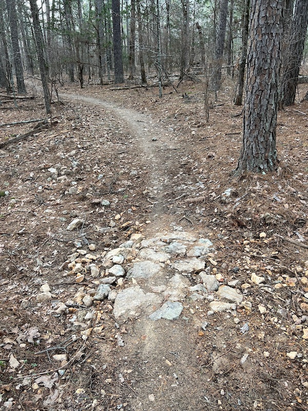Wildfire Multi Trail - Tahlequah, Oklahoma | Trailforks