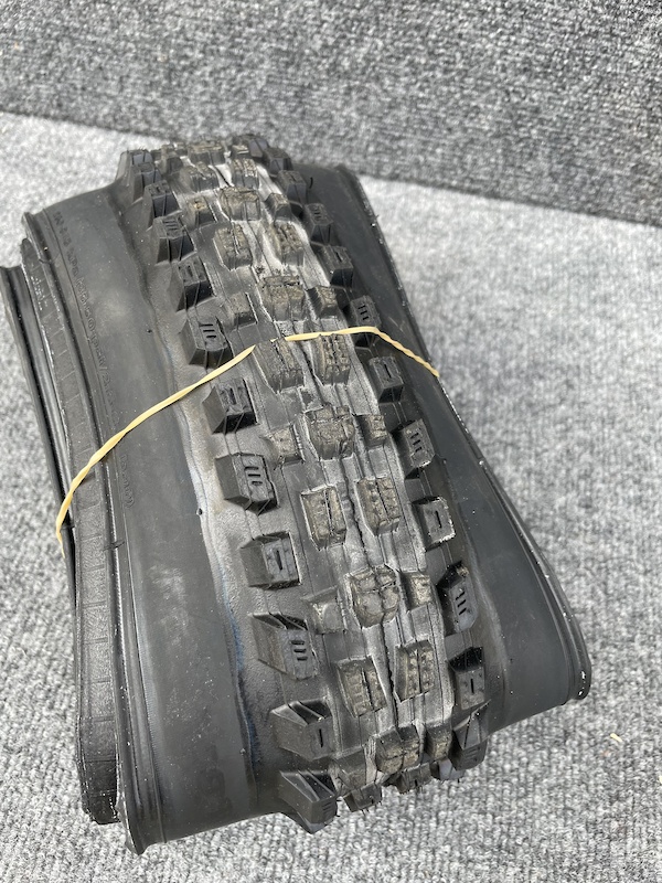maxxis exo  29