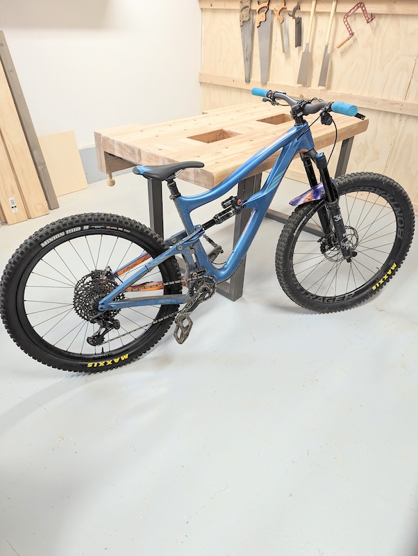 ibis ripmo mullet