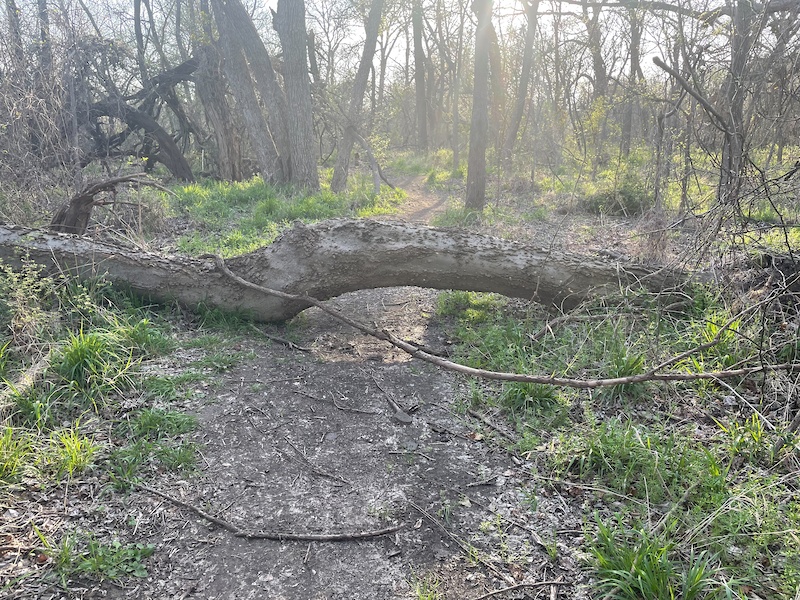 Gray Branch Parkland - Loop 2 Multi Trail - McKinney