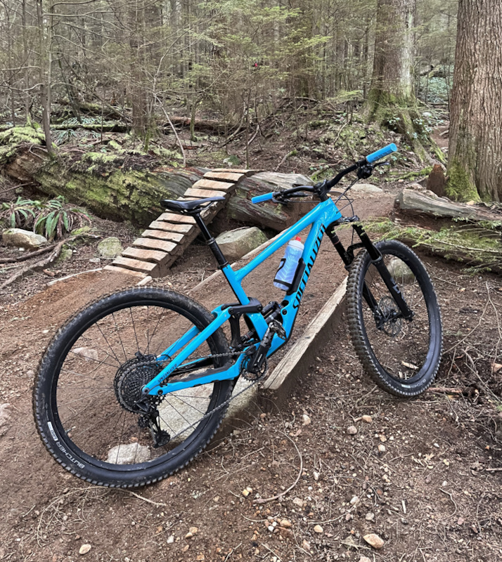 specialized enduro s3