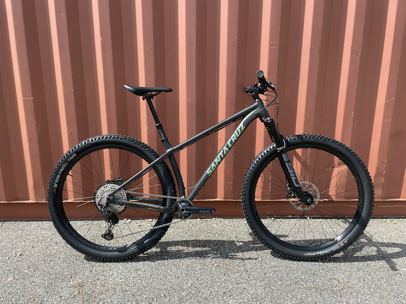 Santa cruz sale chameleon black