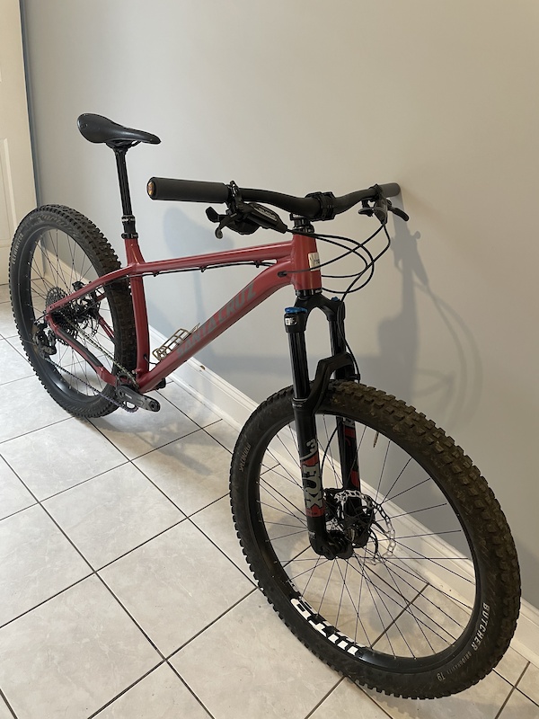 santa cruz chameleon r 