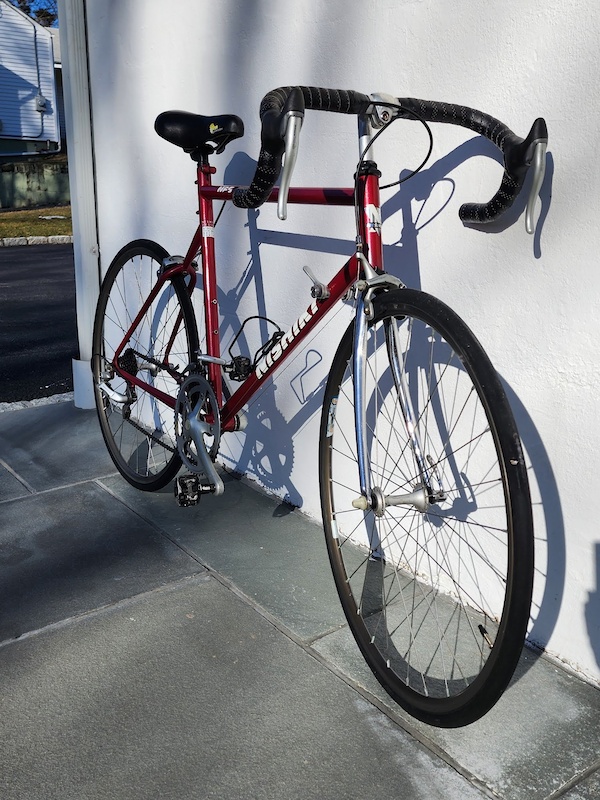 1992 Nishiki NFS Beta Triathlon Bike For Sale