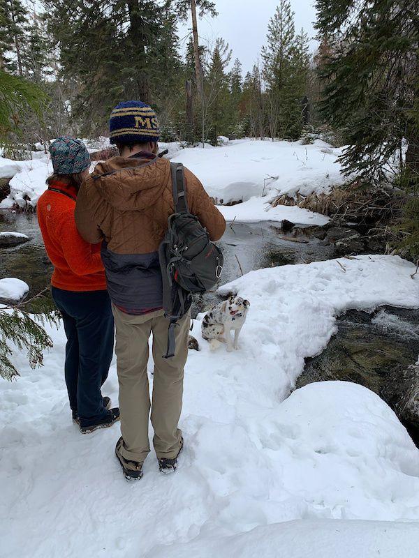 Blodgett Creek Hiking Trail Hamilton, Montana