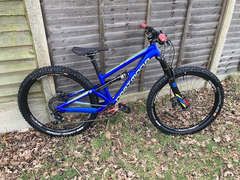 2021 Dartmoor Blackbird Junior For Sale