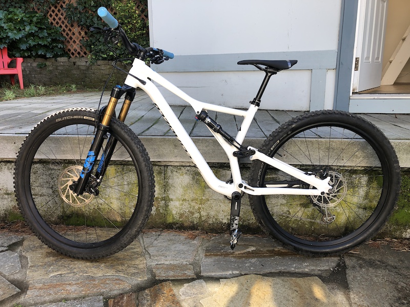 2019 stumpjumper 29er
