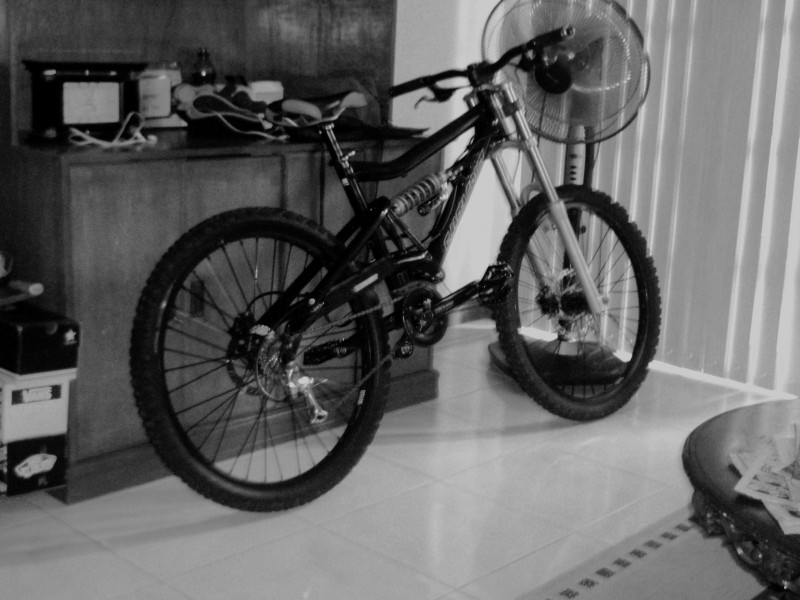 my ex bullit (downhil-ish)
...2004 medium,5th element,truvativ cranks and stem,tioga dh bars,lock on grips,hayes 9 brakes 6' at the back 8' up front,kenda kinetics freeride version,box guide,with hollzfeller bashguard.shimano 105 rear der and 105 shortcage cogs,thompson seat post,sun rims,and a frames,2003 boxxer world cup and a funny saddle which never breaks or bends...