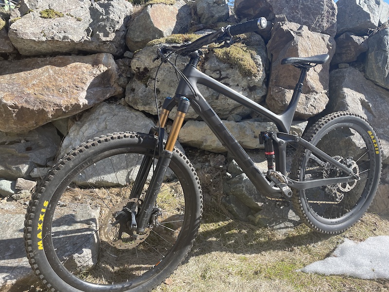 2019 trek remedy 9.9