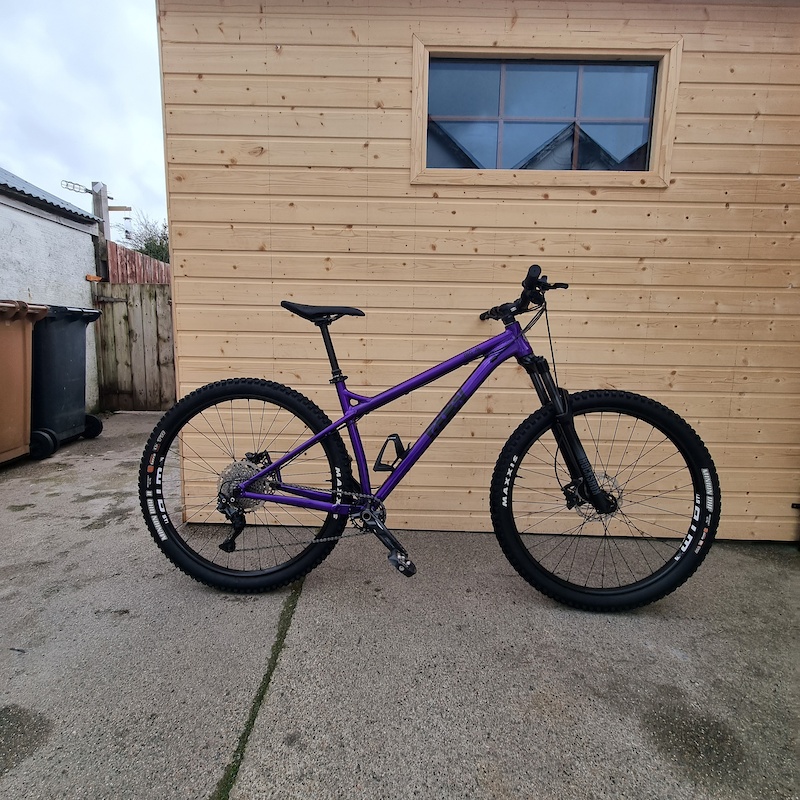 ragley big al 29er