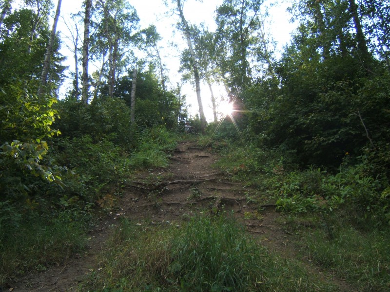 the Sick DH trail