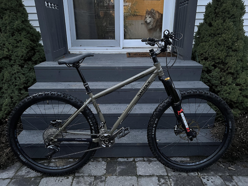 2020 surly karate monkey review