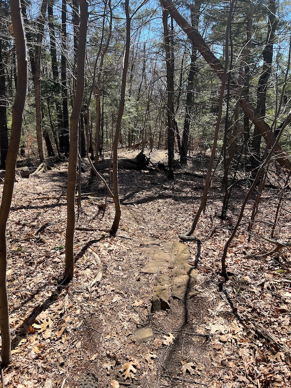 Rocky Road Mountain Biking Trail East Granby, CT