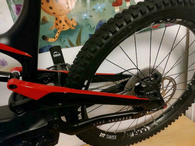 2020 YT Decoy CF Base L For Sale