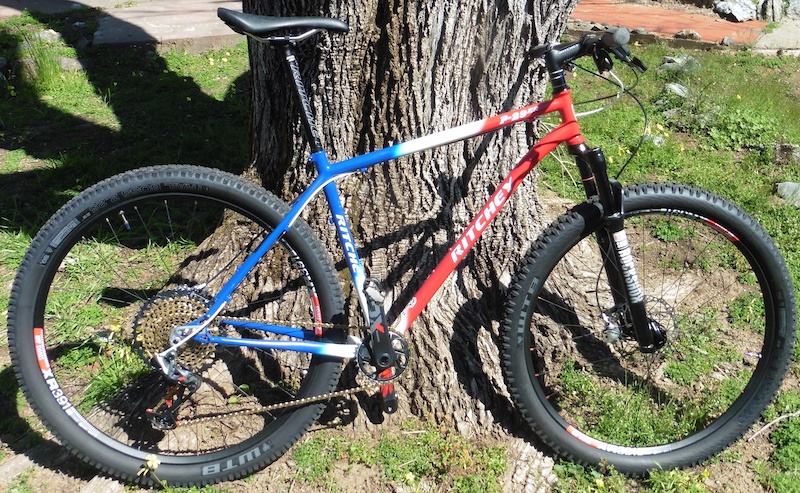 Ritchey discount 29er frame