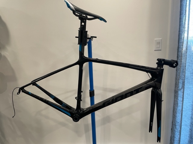 Giant tcr frame online for sale