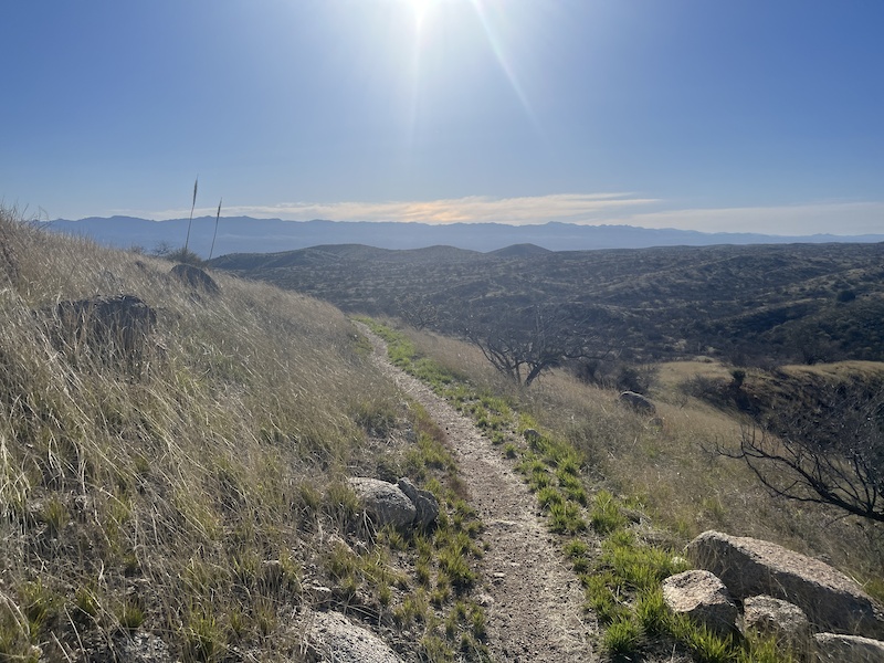 Arizona Trail: Passage 13 - Oracle Mountain Biking Route | Trailforks