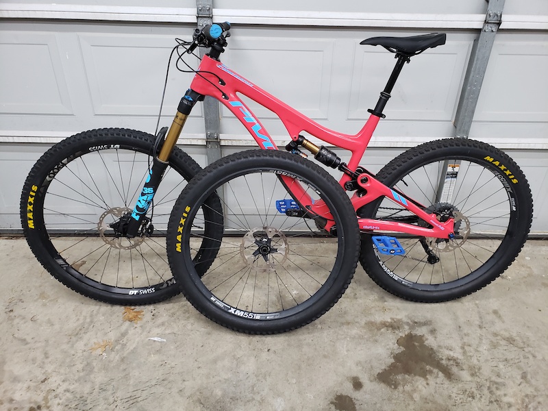 pivot firebird mullet