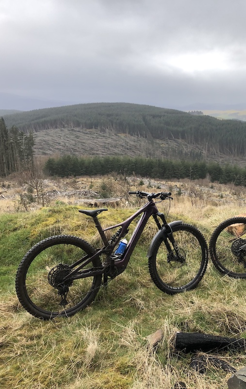 specialised levo 2020