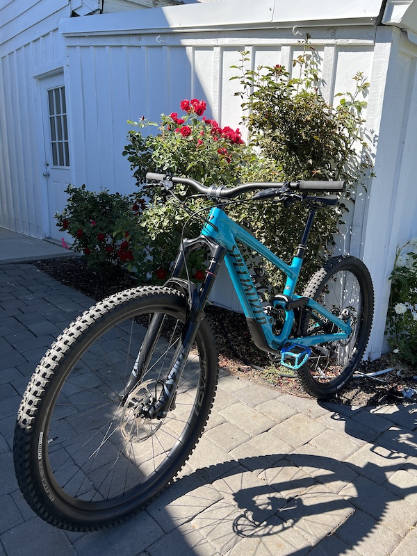 specialized enduro s3