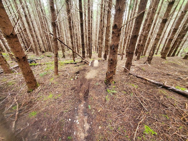 mountain bike trails blue mountains