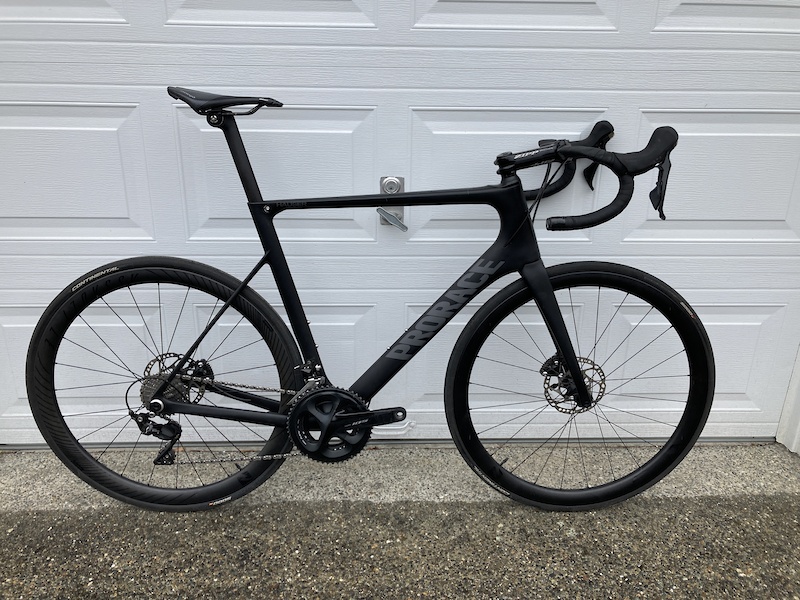 Prorace hauser outlet disc carbon frameset