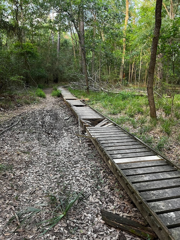 Timberlane MTB Mountain Biking Trail Spring, Texas