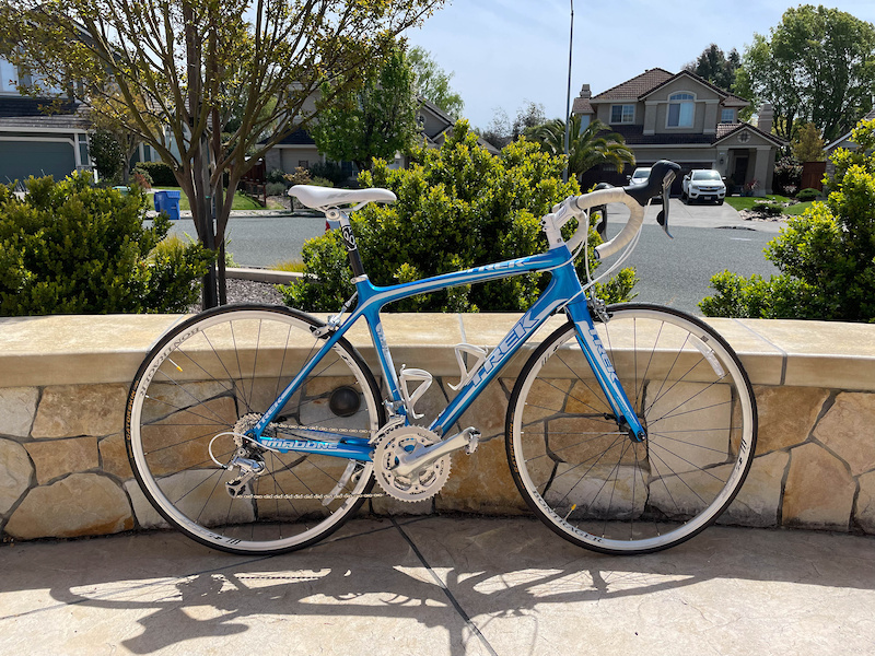 madone for sale