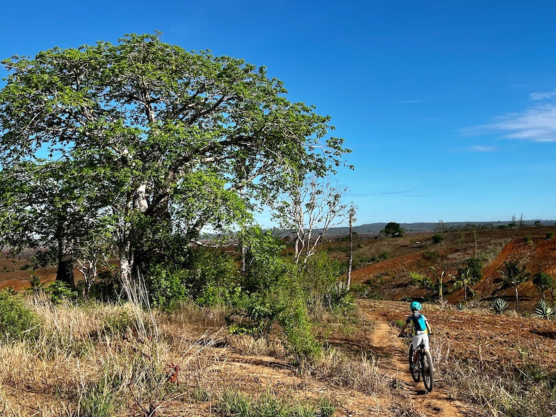 Twelve Cashew Nuts Mountain Biking Trail Kilifi