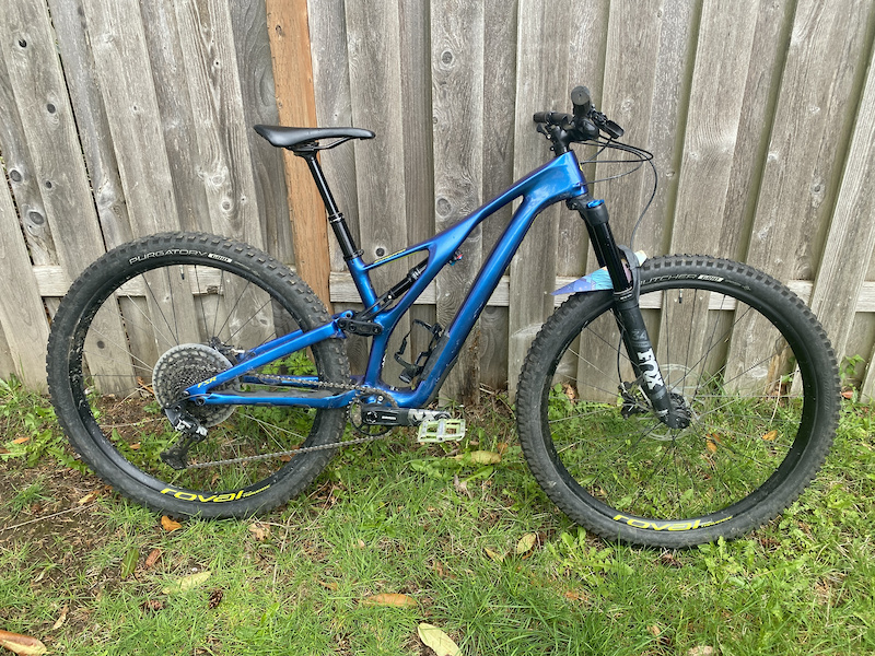 2019 stumpjumper carbon